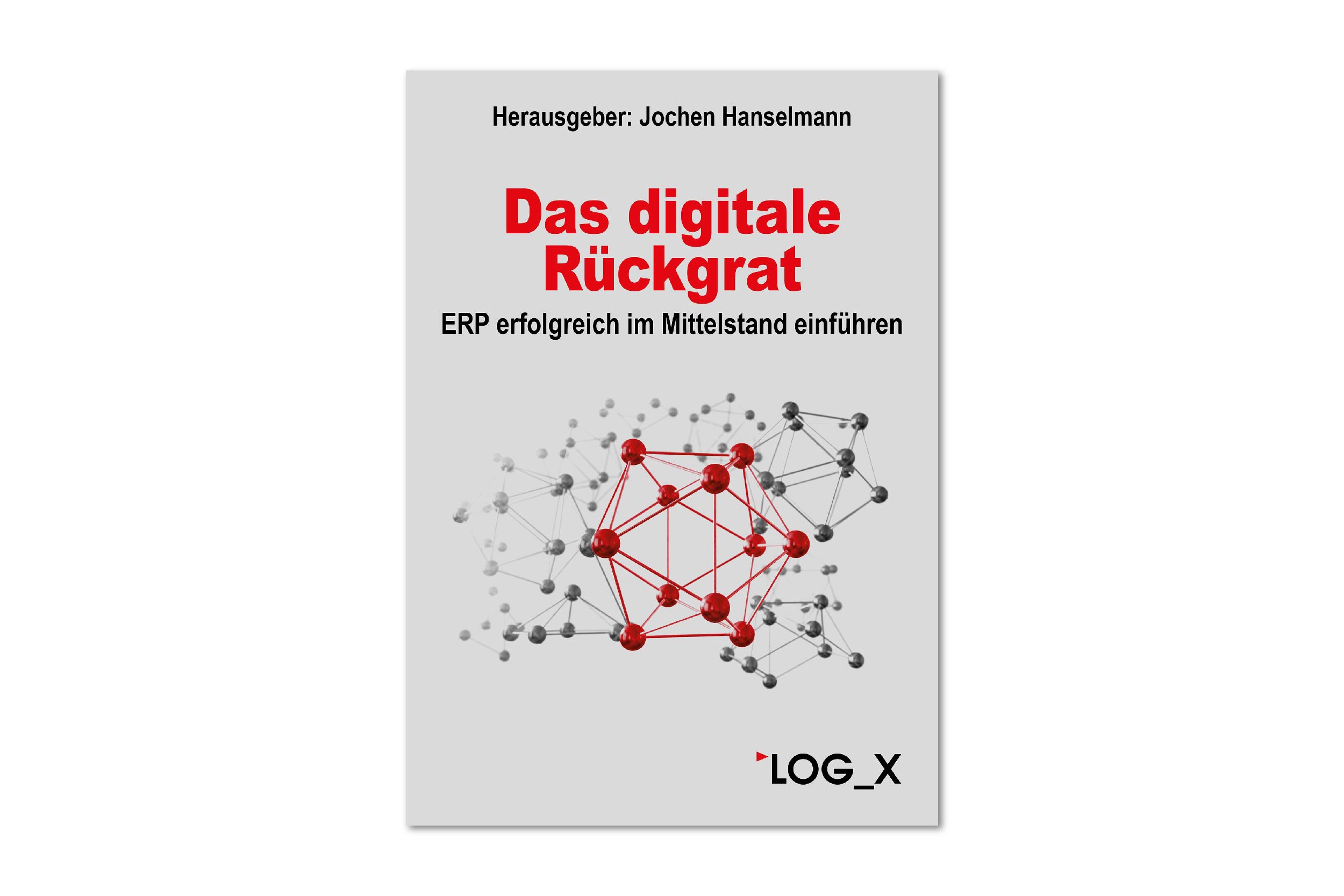 HCIE_eBook_ERP_Digitales Rückgrad_2023_News.jpg